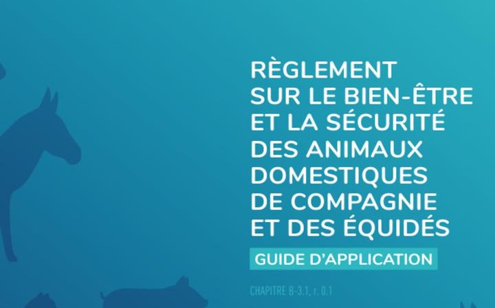 Guide d'application règlement BEA